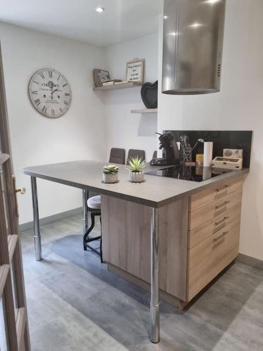 L'Ourse, Epinal,Tres Bel Appartement Quartier Port Экстерьер фото